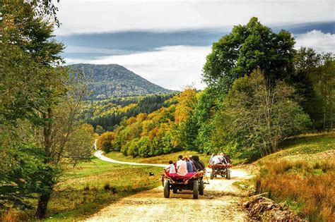 obiective turistice vama buzaului|Despre Vama Buzăului